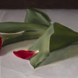 Artwork by Alberto de Flavis